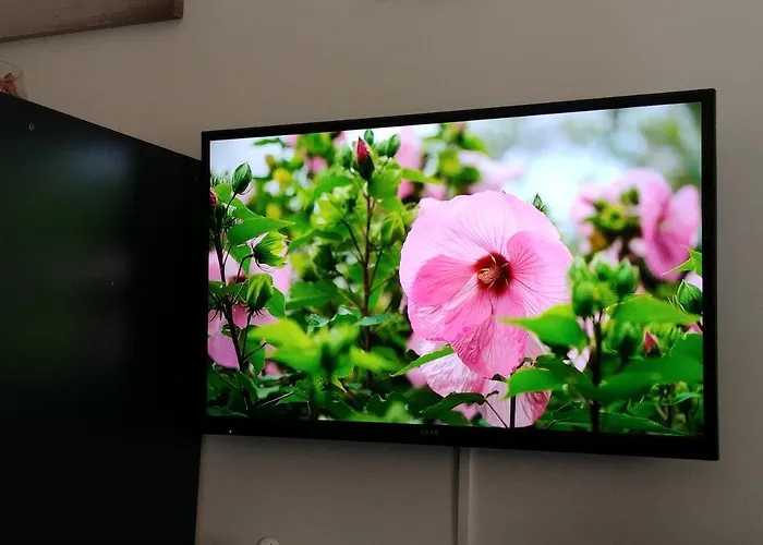 Frühstückspension Miky M House *