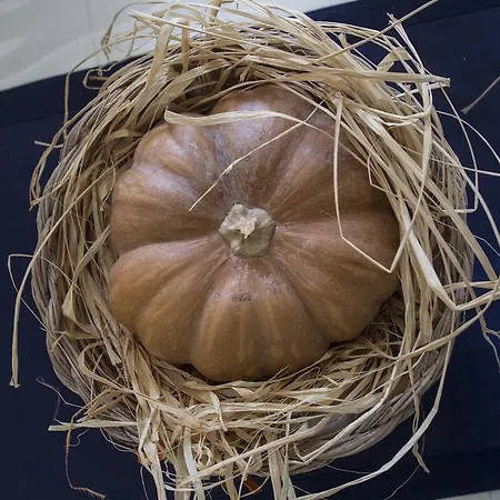 Miky M House * Κάλιαρι