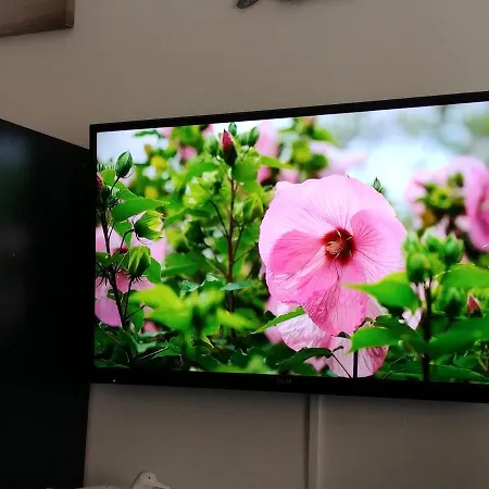 Bed and Breakfast Miky M House *