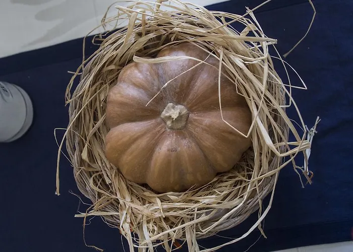 Miky M House * Κάλιαρι